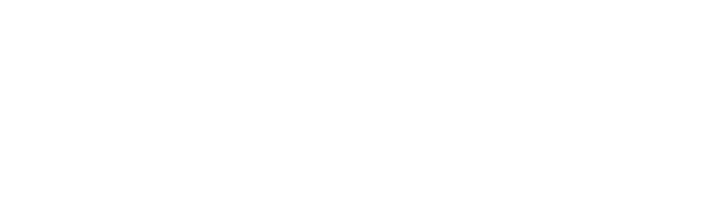 Runtime Verification audits Folks Finance