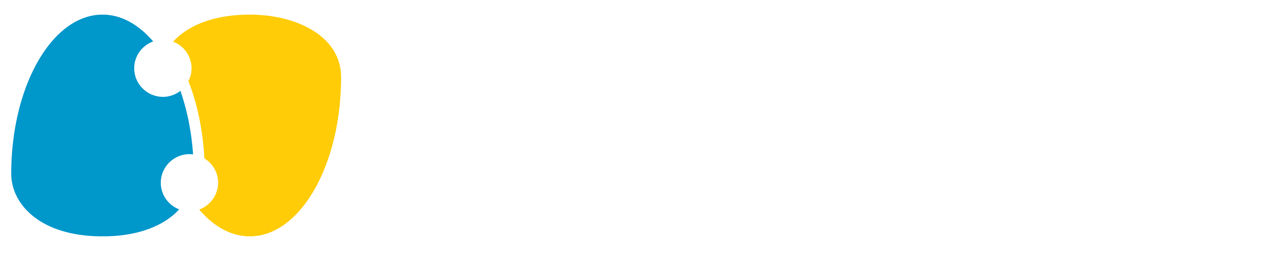 Runtime Verification logo